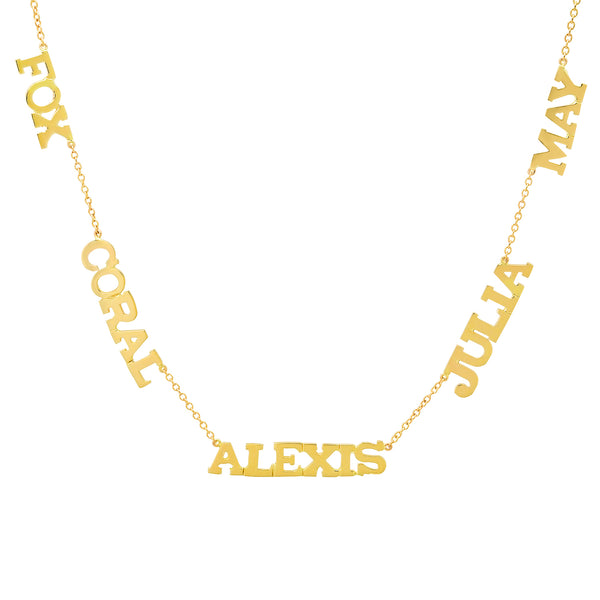 For Pricing Inquiry, Please Email Us (contact@danasengjewelry.com) / Precious Solid 14k Gold Multi Name Necklace