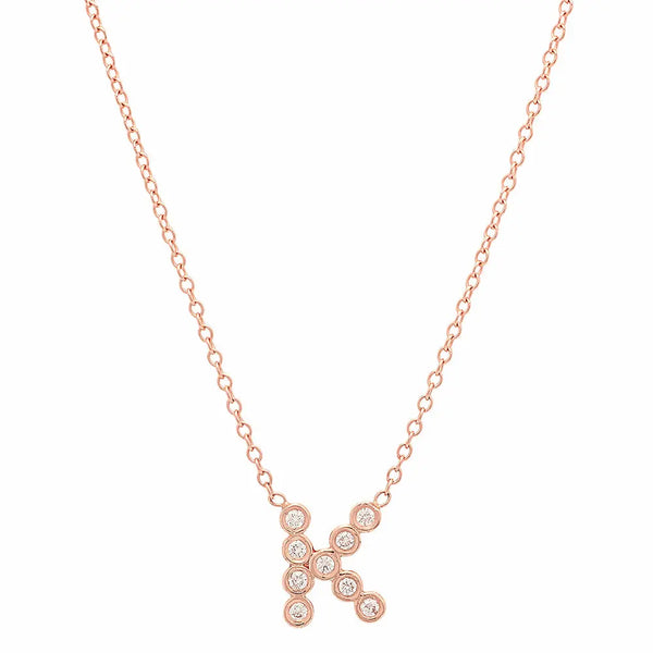 DSJ's Signature Meaningful Birthstone & Initial Necklace - Dana Seng Jewelry Collection