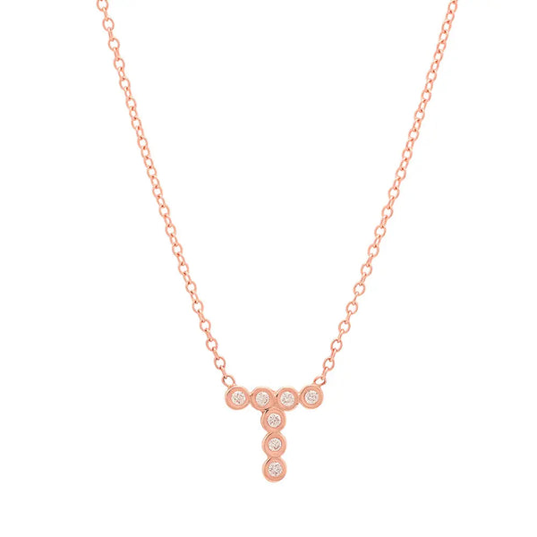 DSJ's Signature Meaningful Birthstone & Initial Necklace - Dana Seng Jewelry Collection