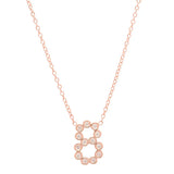 DSJ's Signature Meaningful Number & Birthstone Necklace - Dana Seng Jewelry Collection