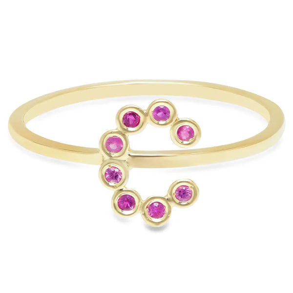 DSJ's Signature Meaningful Birthstone & Initial Ring - Dana Seng Jewelry Collection