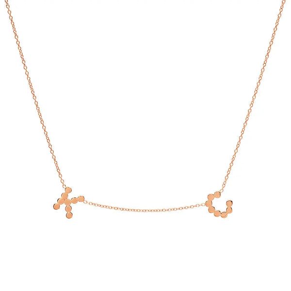 DSJ's Signature Meaningful Multi Gold Initial Necklace - Dana Seng Jewelry Collection