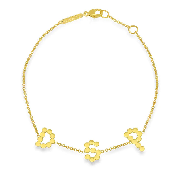 DSJ's Signature Meaningful Multi Gold Initial Bracelet - Dana Seng Jewelry Collection