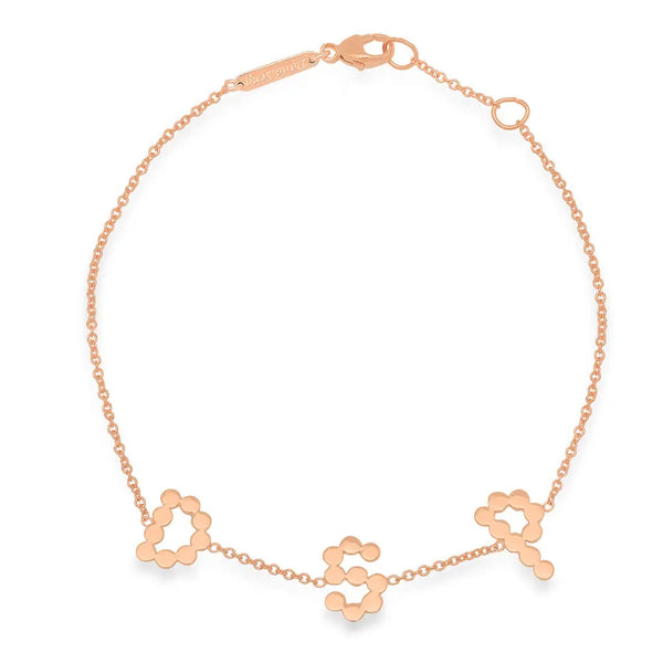 DSJ's Signature Meaningful Multi Gold Initial Bracelet - Dana Seng Jewelry Collection