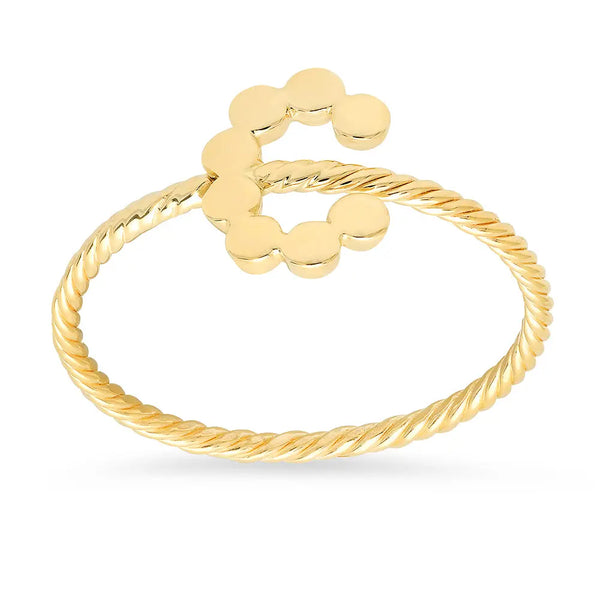 DSJ's Signature Meaningful Twisted Gold Initial Ring - Dana Seng Jewelry Collection