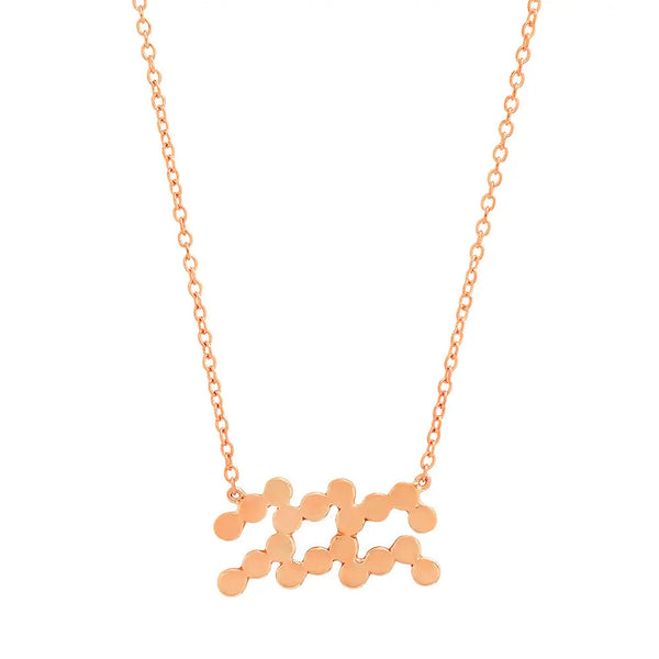 Dana Seng Signature Aquarius Zodiac Necklace - Dana Seng Jewelry Collection