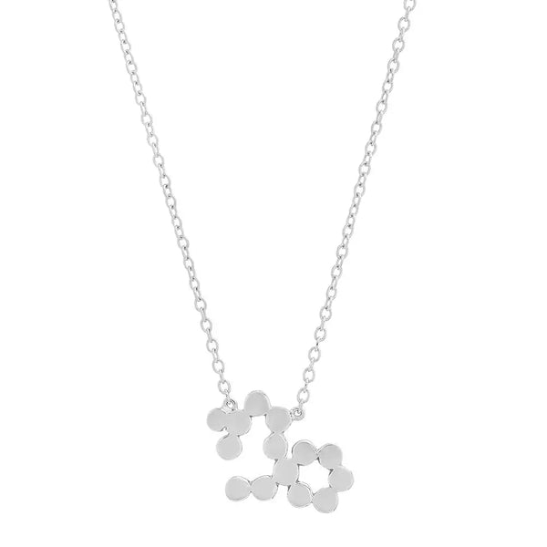 Dana Seng Signature Capricorn Zodiac Necklace - Dana Seng Jewelry Collection