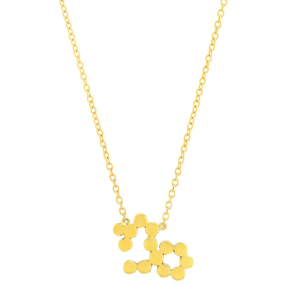 Dana Seng Signature Capricorn Zodiac Necklace - Dana Seng Jewelry Collection