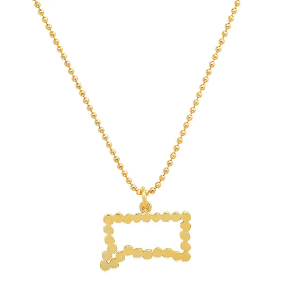 "My Connecticut Home State" Necklace - Dana Seng Jewelry Collection
