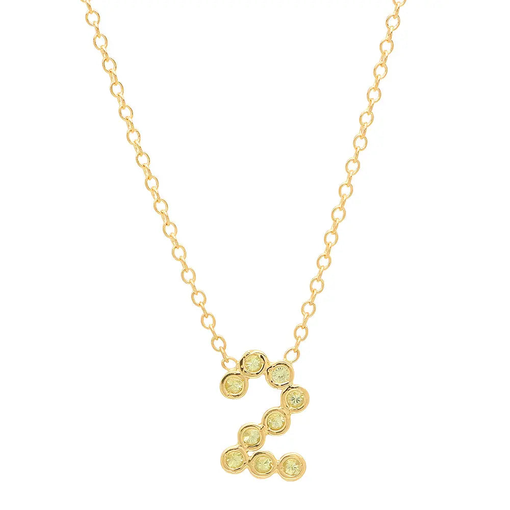 DSJ's Signature Meaningful Number & Birthstone Necklace