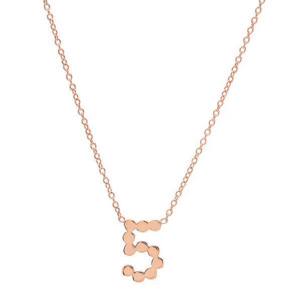 DSJ's Signature Meaningful Gold Number Necklace - Dana Seng Jewelry Collection