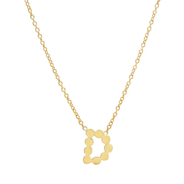 DSJ's Signature Meaningful Gold Initial Necklace - Dana Seng Jewelry Collection