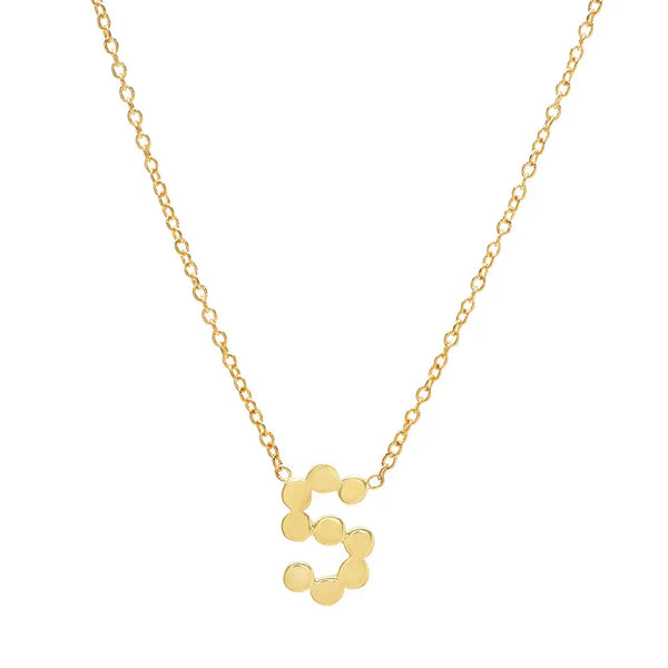 DSJ's Signature Meaningful Gold Initial Necklace - Dana Seng Jewelry Collection