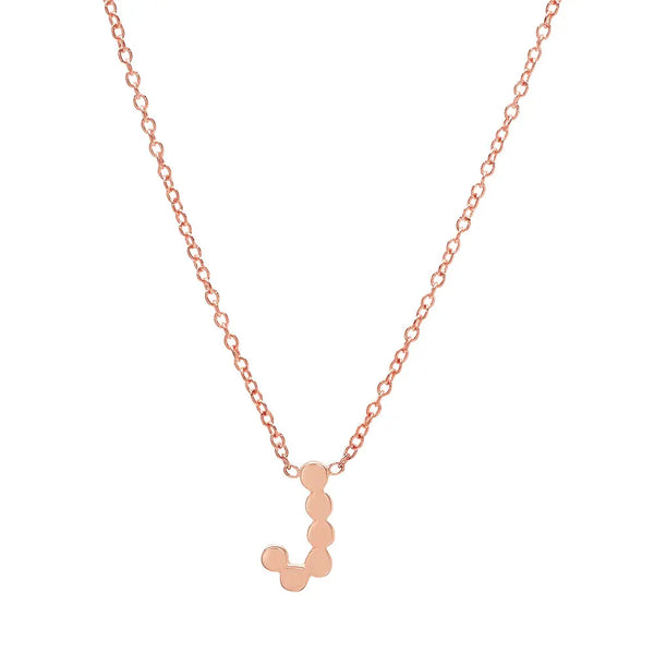 DSJ's Signature Meaningful Gold Initial Necklace - Dana Seng Jewelry Collection