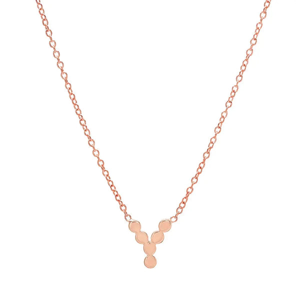 DSJ's Signature Meaningful Gold Initial Necklace - Dana Seng Jewelry Collection