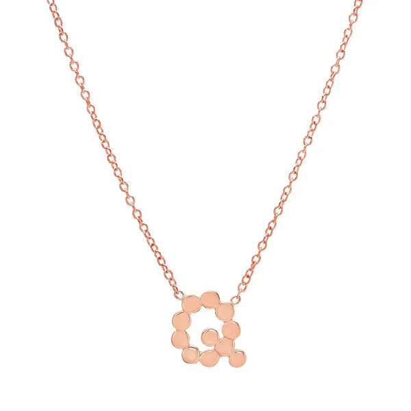 DSJ's Signature Meaningful Gold Initial Necklace - Dana Seng Jewelry Collection