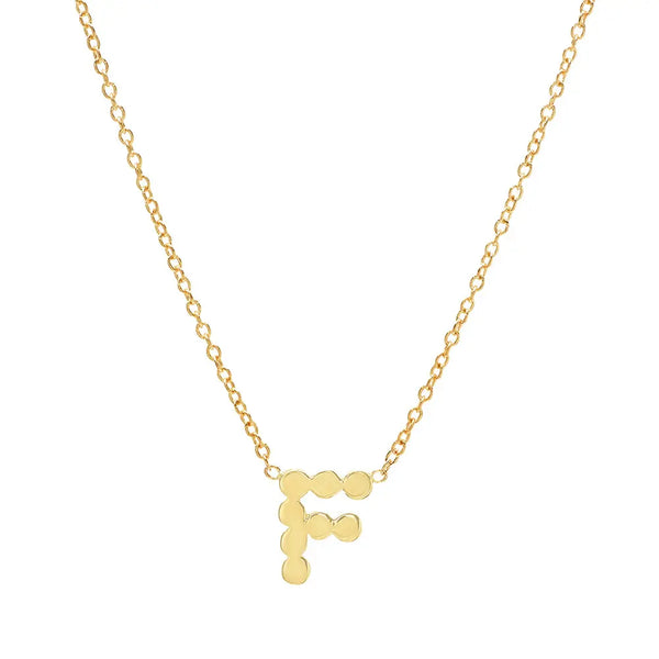 DSJ's Signature Meaningful Gold Initial Necklace - Dana Seng Jewelry Collection