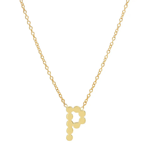 DSJ's Signature Meaningful Gold Initial Necklace - Dana Seng Jewelry Collection