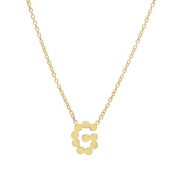 DSJ's Signature Meaningful Gold Initial Necklace - Dana Seng Jewelry Collection