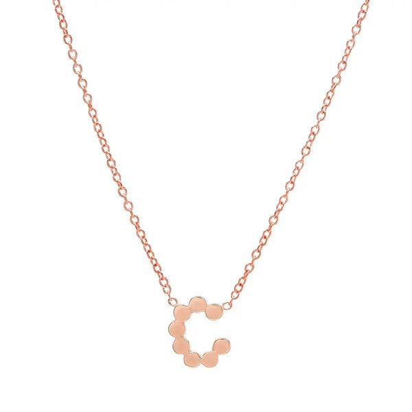 DSJ's Signature Meaningful Gold Initial Necklace - Dana Seng Jewelry Collection