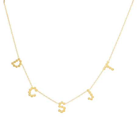DSJ's Signature Meaningful Number & Birthstone Necklace