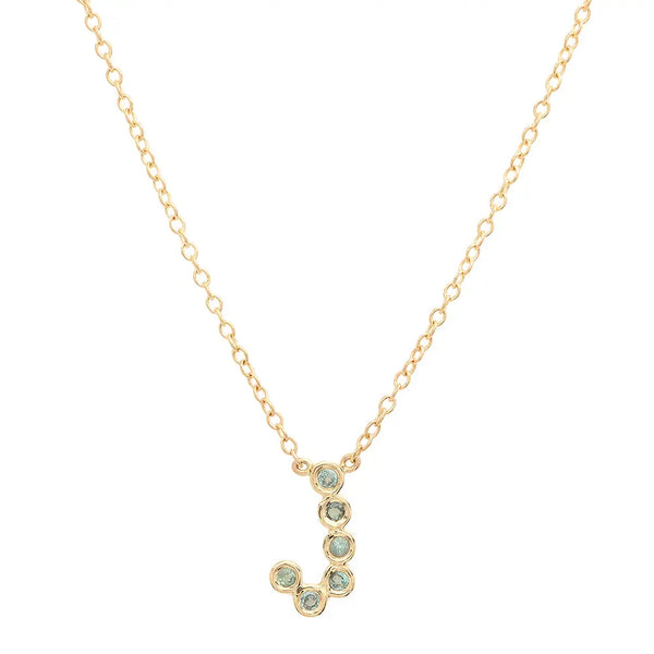 DSJ's Signature Meaningful Birthstone & Initial Necklace - Dana Seng Jewelry Collection