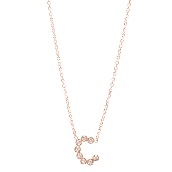 DSJ's Signature Meaningful Birthstone & Initial Necklace - Dana Seng Jewelry Collection