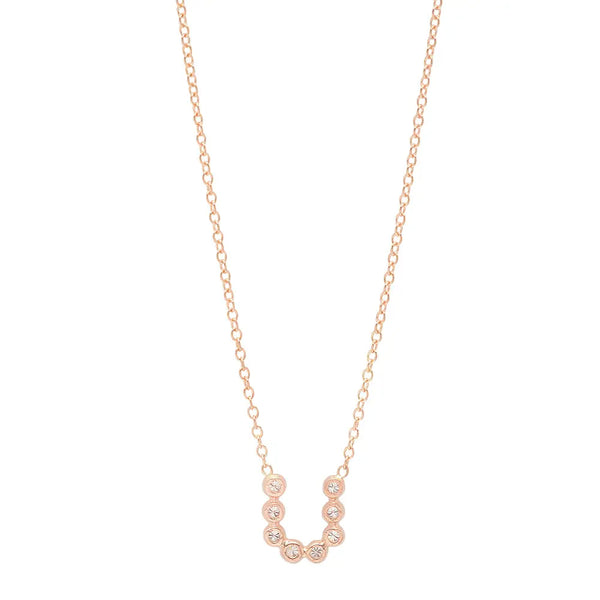 DSJ's Signature Meaningful Birthstone & Initial Necklace - Dana Seng Jewelry Collection