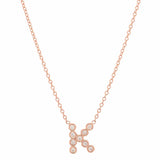 DSJ's Signature Meaningful Birthstone & Initial Necklace - Dana Seng Jewelry Collection