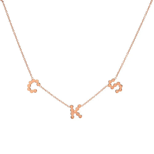 DSJ's Signature Meaningful Multi Gold Initial Necklace - Dana Seng Jewelry Collection