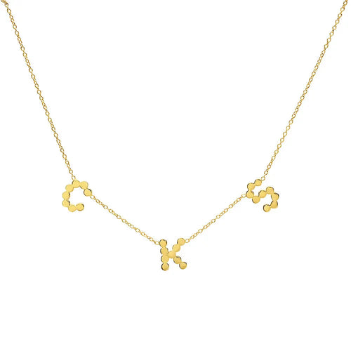 DSJ's Signature Meaningful Multi Gold Initial Necklace - Dana Seng Jewelry Collection