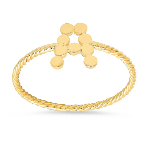 DSJ's Signature Meaningful Twisted Gold Initial Ring - Dana Seng Jewelry Collection