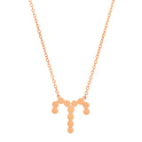 Dana Seng Signature Aries Zodiac Necklace