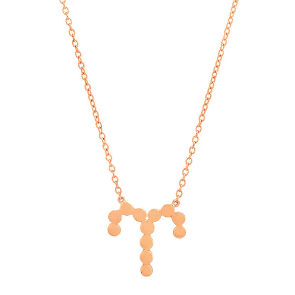Dana Seng Signature Aries Zodiac Necklace