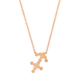 Dana Seng Signature Sagittarius Zodiac Necklace