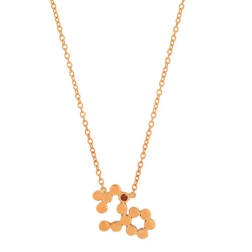 Dana Seng Signature Capricorn Zodiac With Precious Birthstone Necklace - Dana Seng Jewelry Collection