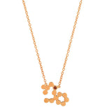 Dana Seng Signature Capricorn Zodiac With Precious Birthstone Necklace - Dana Seng Jewelry Collection