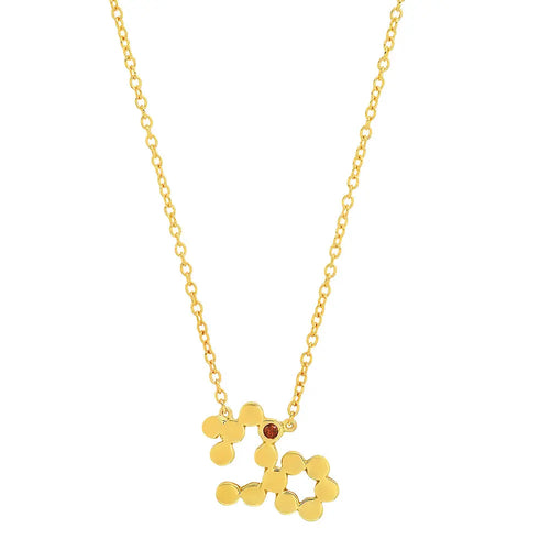 Dana Seng Signature Capricorn Zodiac With Precious Birthstone Necklace - Dana Seng Jewelry Collection