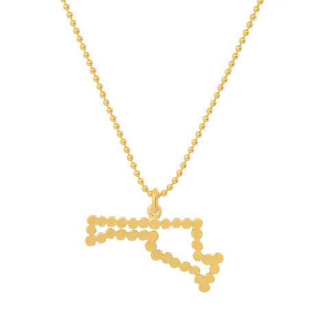 "My Washington DC Home State" Necklace