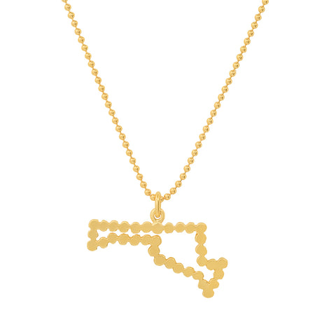 "My Iowa Home State" Necklace