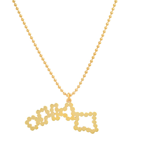 "My Hawaii Home State" Necklace