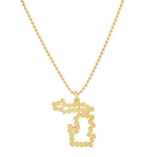 "My Michigan Home State" Necklace - Dana Seng Jewelry Collection