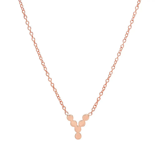 DSJ's Signature Meaningful Gold Initial Necklace - Dana Seng Jewelry Collection