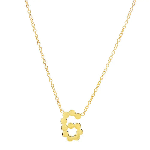 DSJ's Signature Meaningful Gold Number Necklace - Dana Seng Jewelry Collection