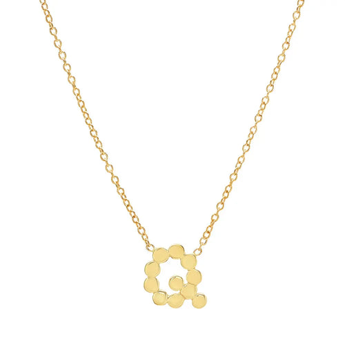 DSJ's Signature Meaningful Gold Initial Necklace - Dana Seng Jewelry Collection