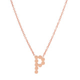 DSJ's Signature Meaningful Gold Initial Necklace