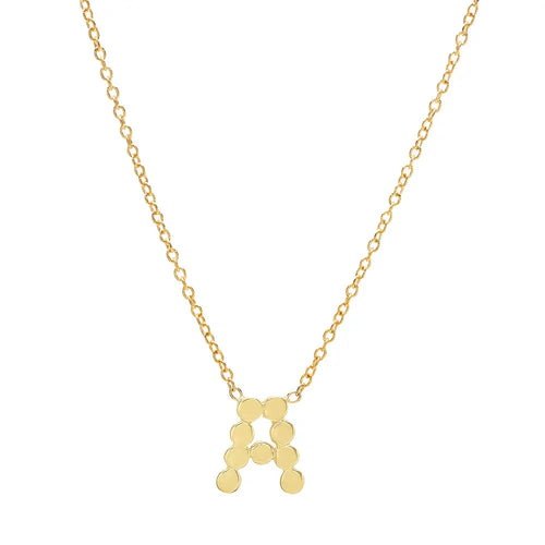 DSJ's Signature Meaningful Gold Initial Necklace - Dana Seng Jewelry Collection