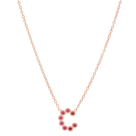 (6 Initials) DSJ's Signature Meaningful Multi Birthstone/Initial Necklace