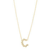 DSJ's Signature Meaningful Birthstone & Initial Necklace - Dana Seng Jewelry Collection