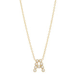 DSJ's Signature Meaningful Birthstone & Initial Necklace - Dana Seng Jewelry Collection